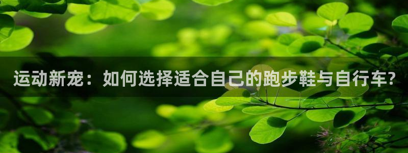 fb集团官网：运动新宠：如何选择适合自己的跑步鞋与自行车?