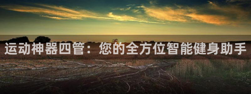 fb体育集团官网首页：运动神器四管：您的全方位智能健