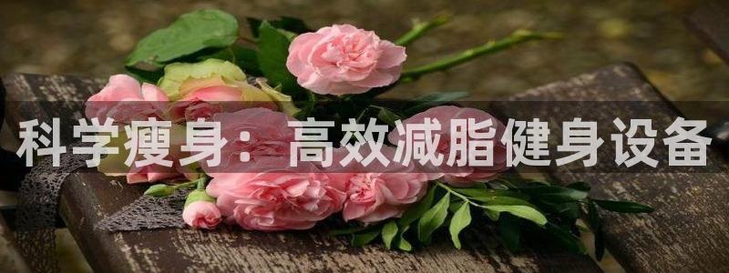 fb体育：科学瘦身：高效减脂健身设备