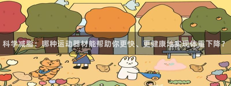fb体育平台是正规平台吗：科学减脂：哪种运动器材能帮