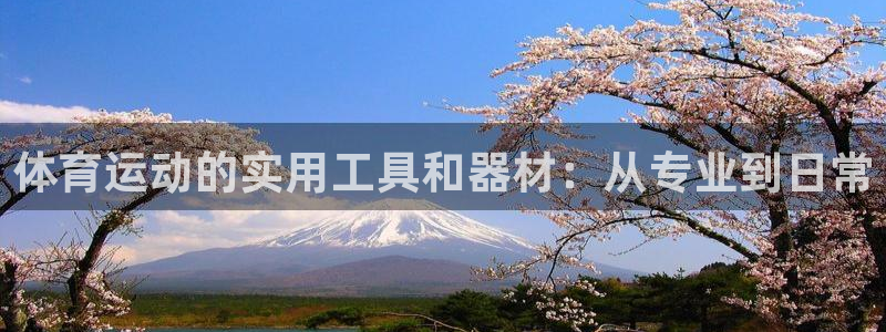 fb集团官网：体育运动的实用工具和器材：从专业到日常