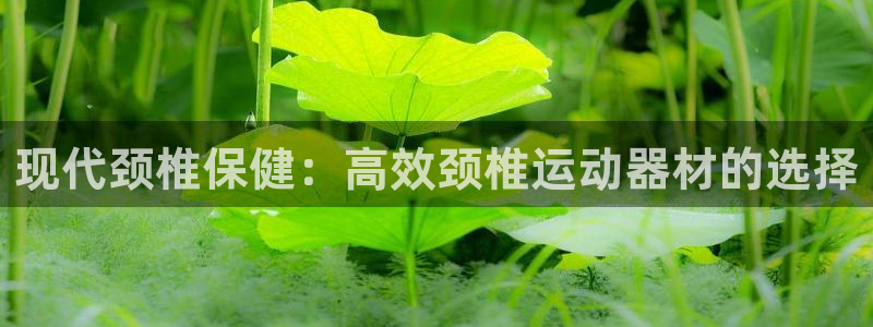 fb体育集团官网首页网址：现代颈椎保健：高效颈椎运动器材的选