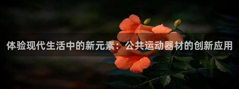 fb体育联系电话：体验现代生活中的新元素：公共运动器
