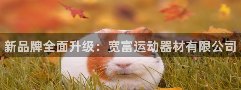 fb体育平台：新品牌全面升级：宽富运动器材有限公司