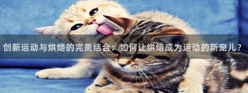 fb体育招商电话号码是多少啊：创新运动与烘焙的完美结合：如何