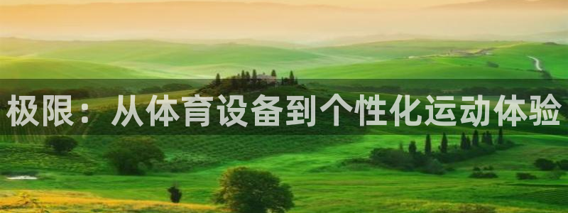 fb体育五金厂：极限：从体育设备到个性化运动体验