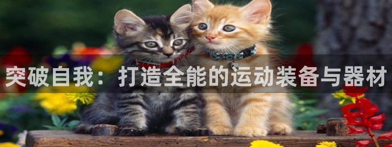 fb体育官方：突破自我：打造全能的运动装备与器材