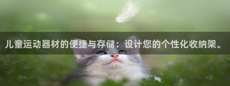 fb体育平台是正规平台吗：儿童运动器材的便捷与存储：设计您的