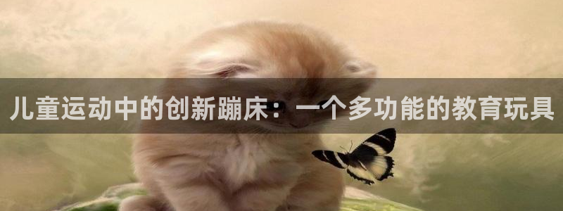 fb体育招商电话是多少啊：儿童运动中的创新蹦床：一个多功能的